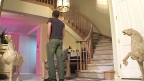 Two attractive women dressed in provocative undergarments are seated on the staircase of a man&#039;s residence.