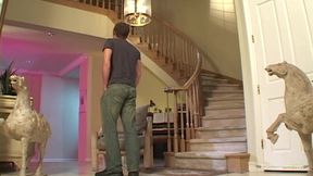 Two attractive women dressed in provocative undergarments are seated on the staircase of a man&#039;s residence.