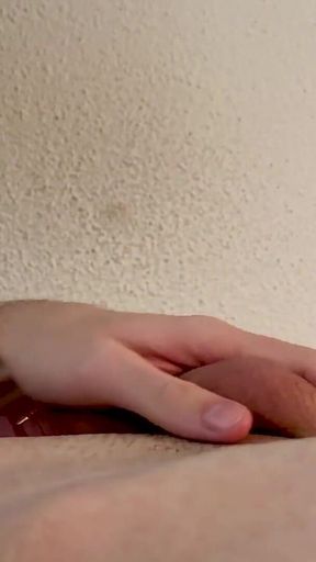 Ich Wixe Meine Schwanz