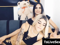 trannies fucked so stiff on webcam 082029 1605203