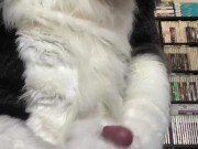 Eclipse Husky Jerk Off and Cumshot