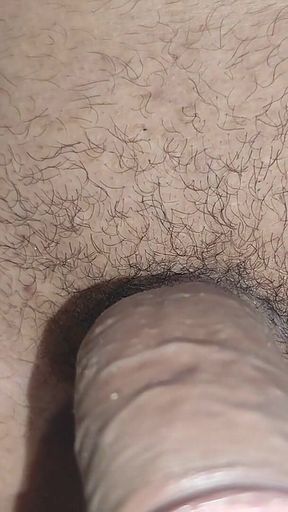 The Male Pheromone of the Glans Attracts Flies.