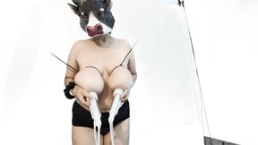 Hucow Gets Tied Tits Milked