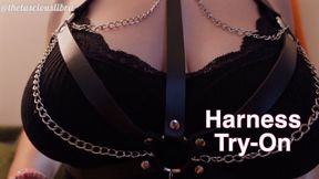 Harness Show Off
