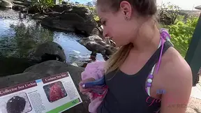 Virtual Vacation In Hawaii With Sydney Cole