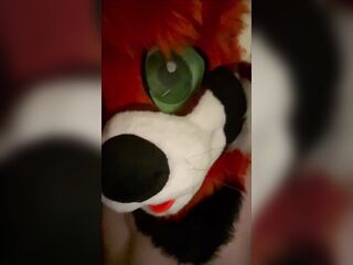 MTF Trans Mursuiter Frots & Bangs Bad Dragon Sex-toy [yiff porn]