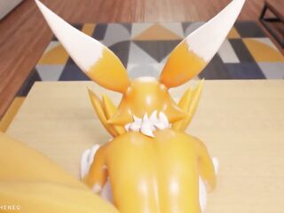 Renamon Fur Compilation: Volume 1