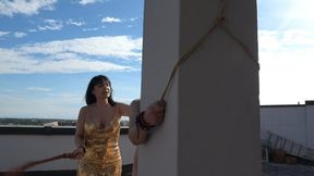 GOLDEN WHIP : WHIPPING ON TERRACE