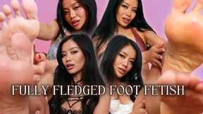 Fully Fledged Foot Fetish