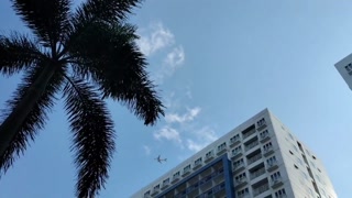 Huge curved cock stretches small mouth totally out