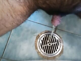 Shower drain urinate ftm