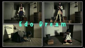 Edo Dream