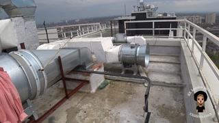 Lustful bitch almost swallowed a guy's dick right on the street