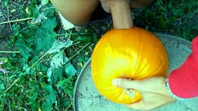 Twink Is Hard Fucking a Pumpkin in the Garden