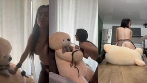 teddy bear domination