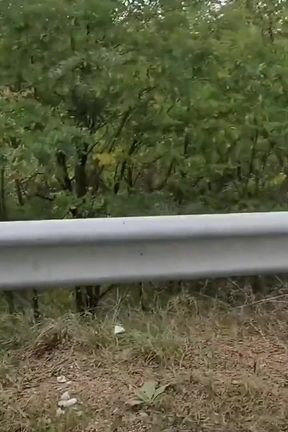 Outdoor sex with hot Gina Gerson