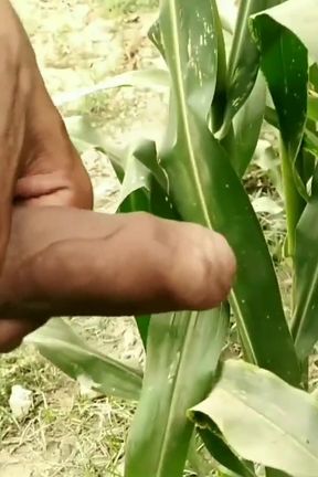 There Are Different Ways to Piss - I Love to Piss in Public, Indian Village