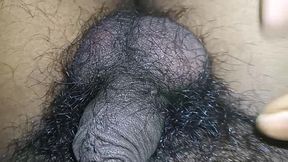 Sivani ni mere land ka pani nikal diya