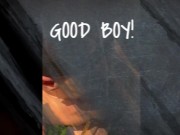 [trailer] the bare bitch project