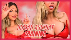 720WMV Human Ashtray Training