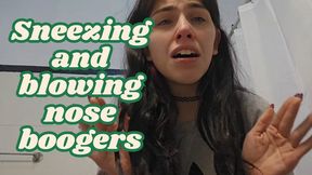 Sneezing a lot and blowing my nose showing little boogers