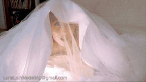Melting Spell Witch Bride Luna Lain HDMP4