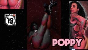 Spotlight Series Vol One Poppy & Fernanda Uzi