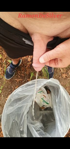 Master Ramon pisses in the trash can in the park, golden champagne