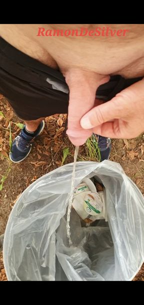 Master Ramon pisses in the trash can in the park, golden champagne