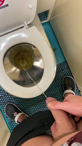 Jerk off and pee in the train toilet