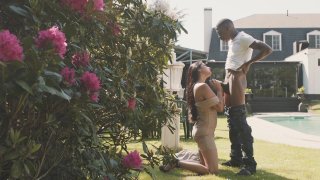 Scene 4