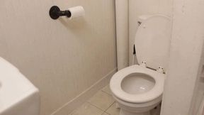 M - Dec Toilet Clips #002