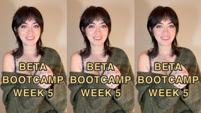 BETA BOOTCAMP WEEK 5