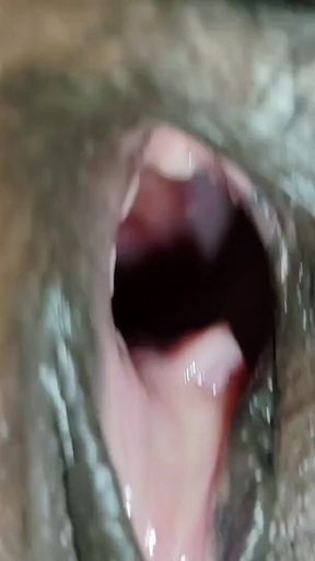 Iconic moment from "Have fun with Padosan Bhabhi"