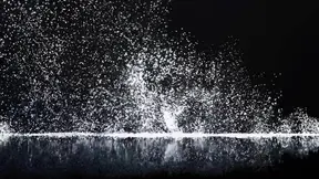 Alina Takes Her Wager to the Next Level