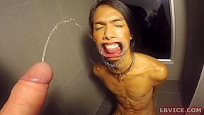 Ladyboy Cat Gives Blowjob After Getting Pissed On