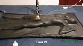 Milked by controlled vibrator in vacbed