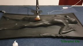 Milked by controlled vibrator in vacbed
