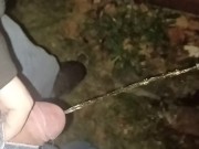 Sean takes a night outdoor piss