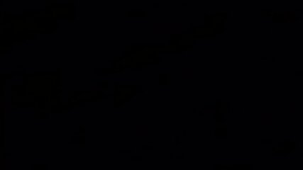 shelovesbjj Morning Masturbation 03 AUDIO ONLY