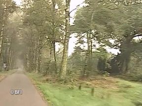 Dutch girls - married couples 1