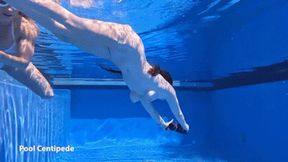 Lilibet Saunders - Subnado Episode 10 - Pool Centipede (1080p)