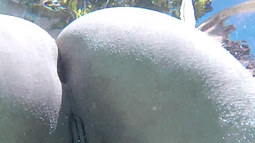 Julz & Valentina Share A Big Cock