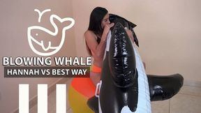 Blowing Shinny Black Whale by Hannah - 4K