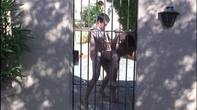 Sylvie gets fucked at the gate