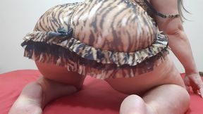 rebolando de camisola tigresa