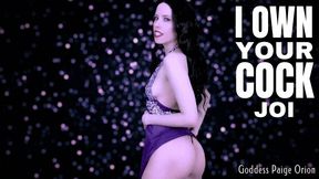 I Own Your Cock JOI : 720p