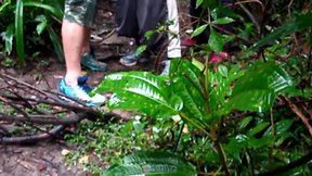 Machos fazendo orgia dentro da floresta