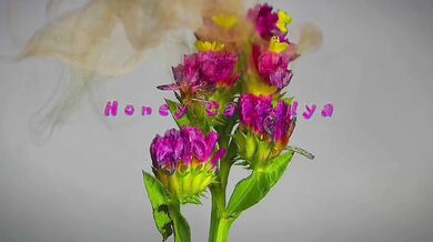 Sexy Latina Goddess Gets Dominated By Her Bull !! Full Video on Fansly