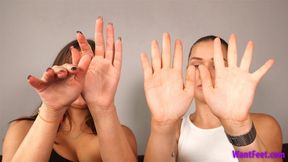 Hand Measure Compare - Size Comparison - HD MP4